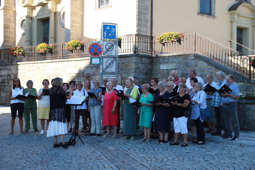 Der Gemischte Chor des Sängervereins bei der Nacht der Chöre im Juni 2019. (Foto: Carolin Fritz-Reich)