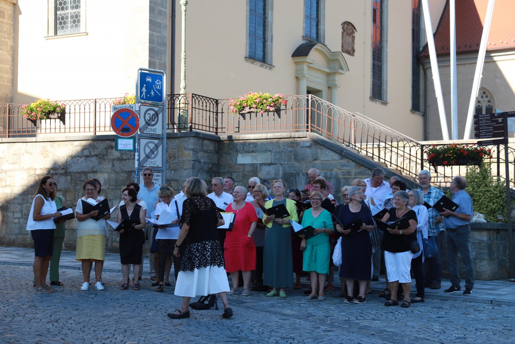 Der Gemischte Chor des SV Mellrichstadt bei der Nacht der Chöre im Juni 2019 unter der Leitung von Marianne Klemm. (Foto: Carolin Fritz-Reich)